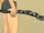 Jeweled Staff