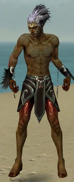 Necromancer Sunspear Armor M gray arms legs front