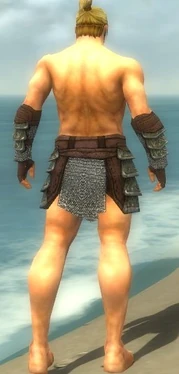 Warrior Krytan Armor M gray arms legs back