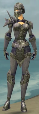 Warrior Platemail Armor F gray front