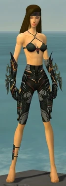 Assassin Elite Kurzick Armor F gray arms legs front