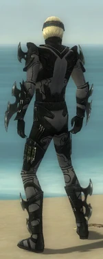 Assassin Kurzick Armor M gray back