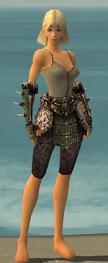 Warrior Elite Charr Hide Armor F gray arms legs front