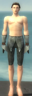 Elementalist Ancient Armor M gray arms legs front