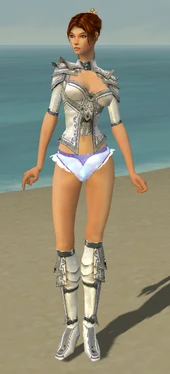 Elementalist Tyrian Armor F gray chest feet front