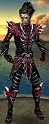 Necromancer Luxon Armor M gray front