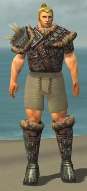 Warrior Charr Hide Armor M gray chest feet front