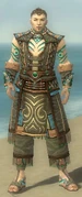 Monk Elite Luxon Armor M gray front