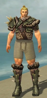 Warrior Elite Charr Hide Armor M gray chest feet front