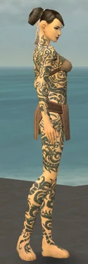 Monk Dragon Armor F gray side