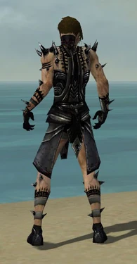 Necromancer Obsidian Armor M dyed back