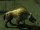 Hyena