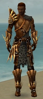 Ranger Elite Sunspear Armor M gray front