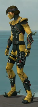 Assassin Seitung Armor M dyed side