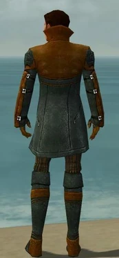 Mesmer Kurzick Armor M dyed back