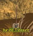 Buried Treasure