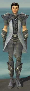 Elementalist Stoneforged Armor M gray front