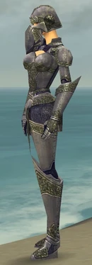 Warrior Platemail Armor F gray side