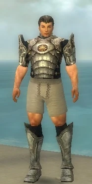 Warrior Sunspear Armor M gray chest feet front