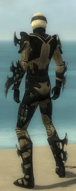 Assassin Kurzick Armor M dyed back