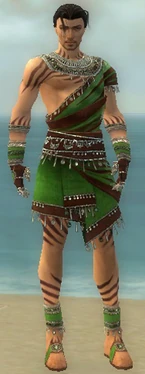 Ritualist Exotic Armor M dyed front