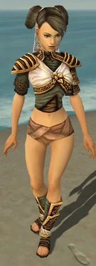 Monk Elite Canthan Armor F gray chest feet front