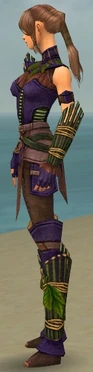 Ranger Druid Armor F dyed side