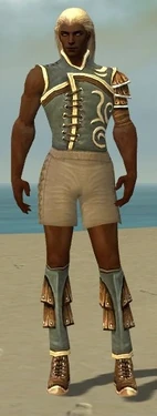 Ranger Shing Jea Armor M gray chest feet front