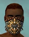 Ranger Elite Sunspear Armor M dyed head front