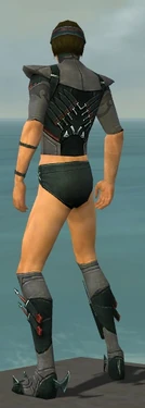 Assassin Seitung Armor M gray chest feet back