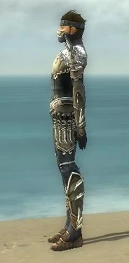 Assassin Asuran Armor M gray side