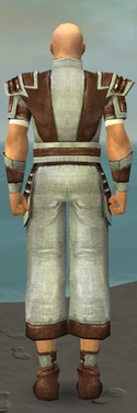 Monk Censor Armor M gray back