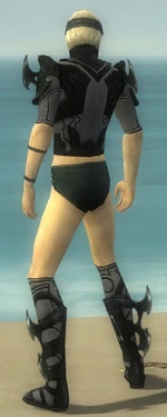 Assassin Kurzick Armor M gray chest feet back