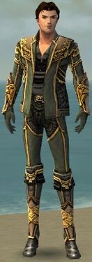 Mesmer Asuran Armor M gray front