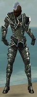 Necromancer Fanatic Armor M gray front