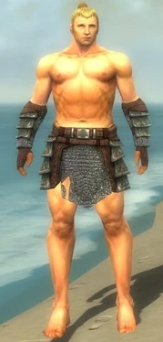 Warrior Krytan Armor M gray arms legs front