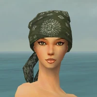 Bandana F gray front