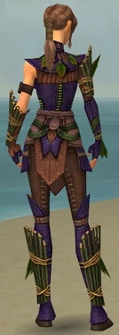 Ranger Druid Armor F dyed back