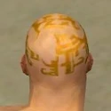 Monk Ancient Armor M dyed head back