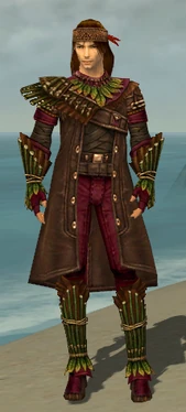 Ranger Druid Armor M dyed front