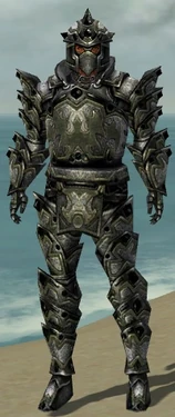 Warrior Obsidian Armor M gray front