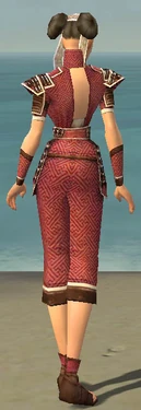 Monk Elite Judge Armor F dyed back