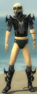 Assassin Kurzick Armor M gray chest feet front