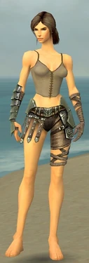 Warrior Elite Gladiator Armor F gray arms legs front