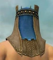 Dervish Vabbian Armor M dyed head back