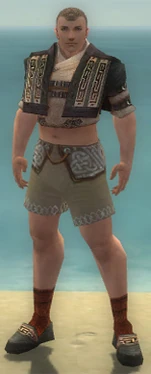 Monk Ancient Armor M gray chest feet front