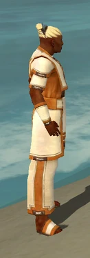 Monk Sacred Armor M dyed side