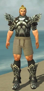 Warrior Silver Eagle Armor M gray chest feet front