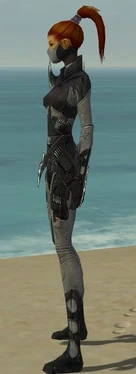 Assassin Kurzick Armor F gray side