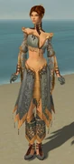 Elementalist Vabbian Armor F gray front